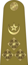 005_Brigadier.jpg
