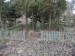 08_1703_001_Jaroslav 1_PU.JPG