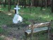 06_1805_031_HPIM8240Sigut_TR.jpg