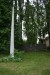 08_1608_002_podoli_2.2_BV.JPG