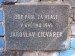 06_w5_Praha6,Goetheho,Bubenec,zedplotuStromovkyuschodu.jpg