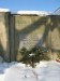 10_0216_Praha_6_Ant._Cermaka_hrb._Bubenec_007.jpg