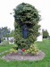 10_0511_Jivina_001_LB.JPG