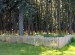 10_0904_Lada_v_Podjestedi_004_LB.jpg