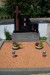 10_1025_Cebin_005_BO