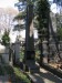 10_1027_P10_Vinohrady_103_Vinohradska_294-212