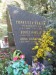 10_1030_P10_Vinohrady_213_Vinohradska_294-212