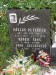 06_1011_019_Podebrady-H23_NB.JPG