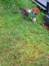 0612_004_Podveky-H02_KH.JPG