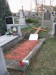 07_2403_013_Visnovka, hrb. Slivenec_P5.jpg
